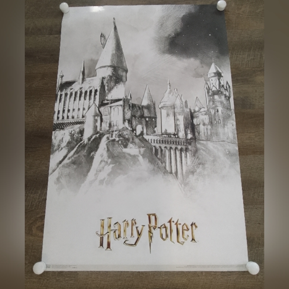 Harry Potter Hogwarts Castle Poster